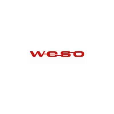 Weso HSK 125 c / 225 c / 245 c / 325 c / 425 c Scheibendichtung, Glasdichtung 2m - 9067969